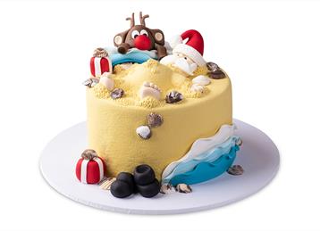 Christmas Novelty Cake